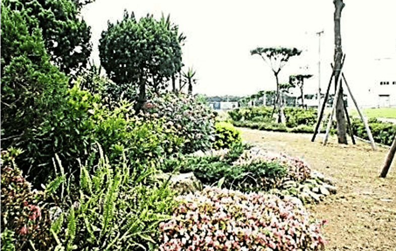 國光電力公司職業安全方面說明